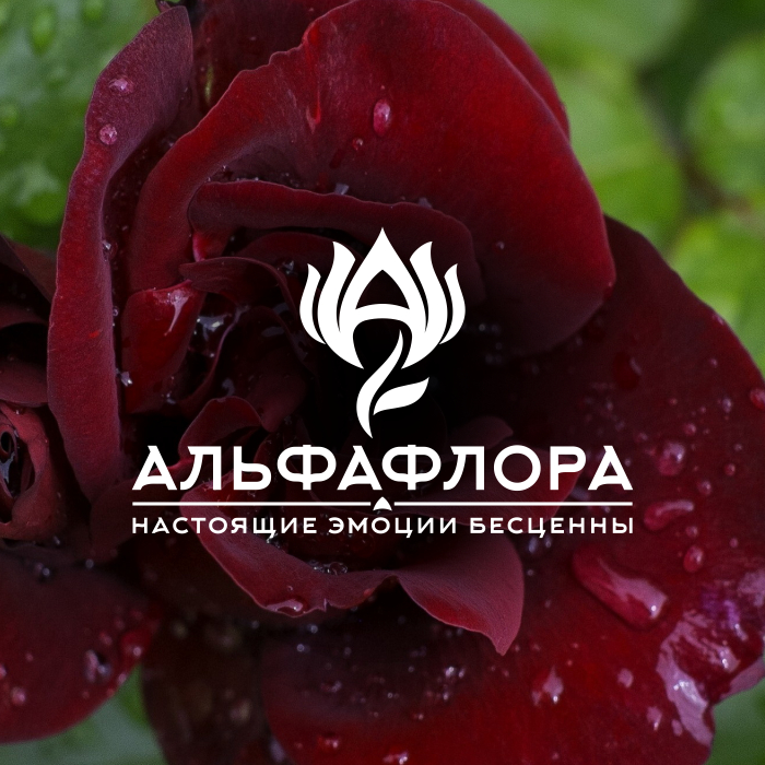 Товарный знак, логотип цветочной компании