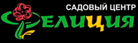 Логотип Фелиция предыдущий